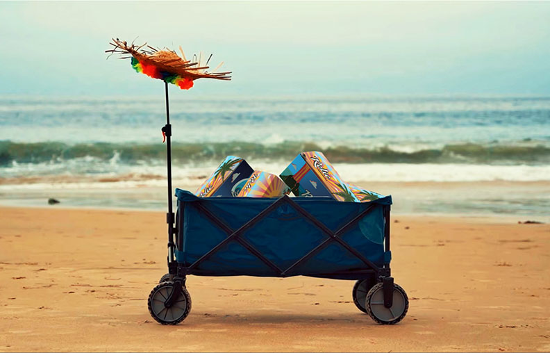 Relic Botanicals hero presentation