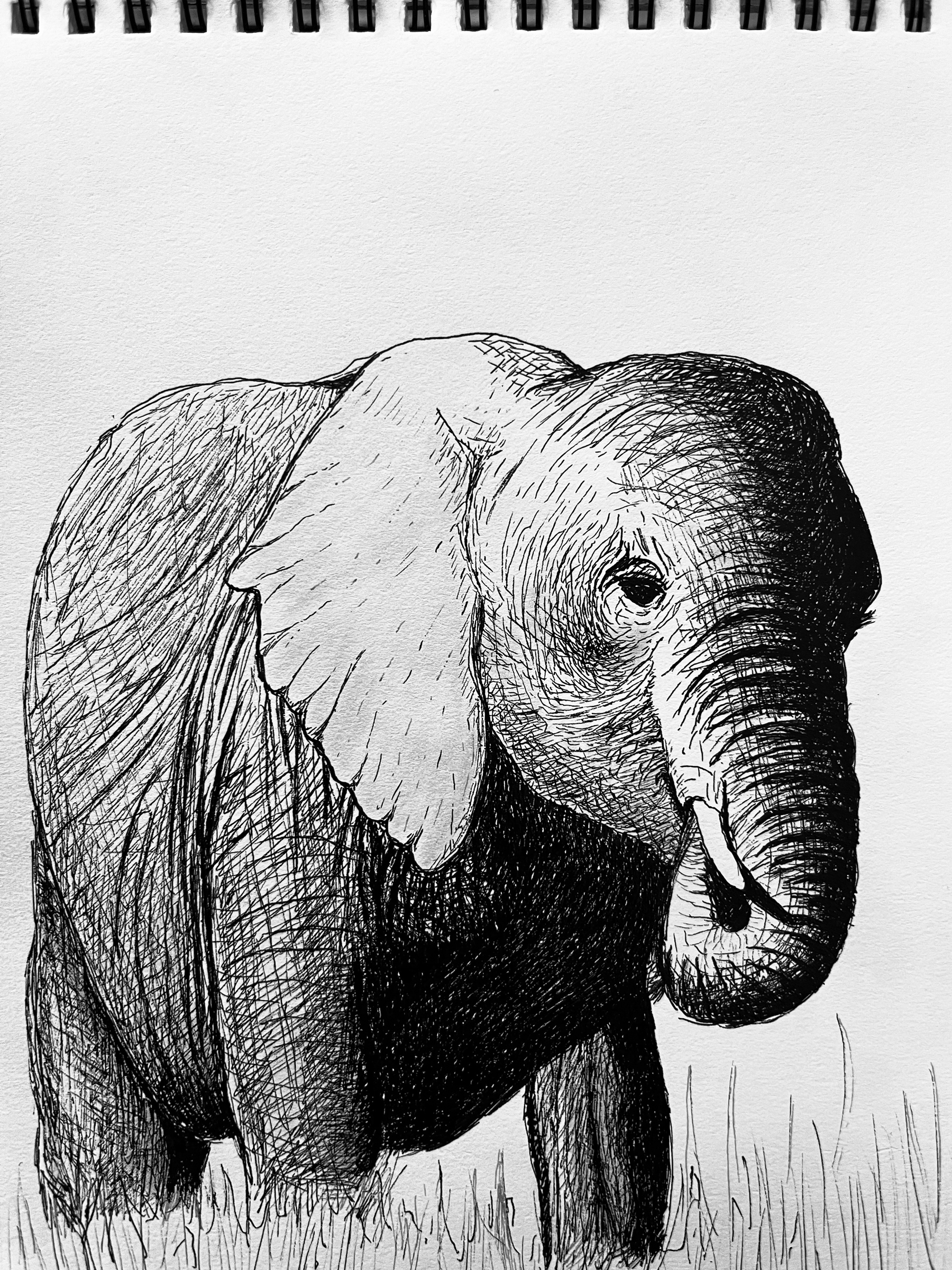 Personal Project